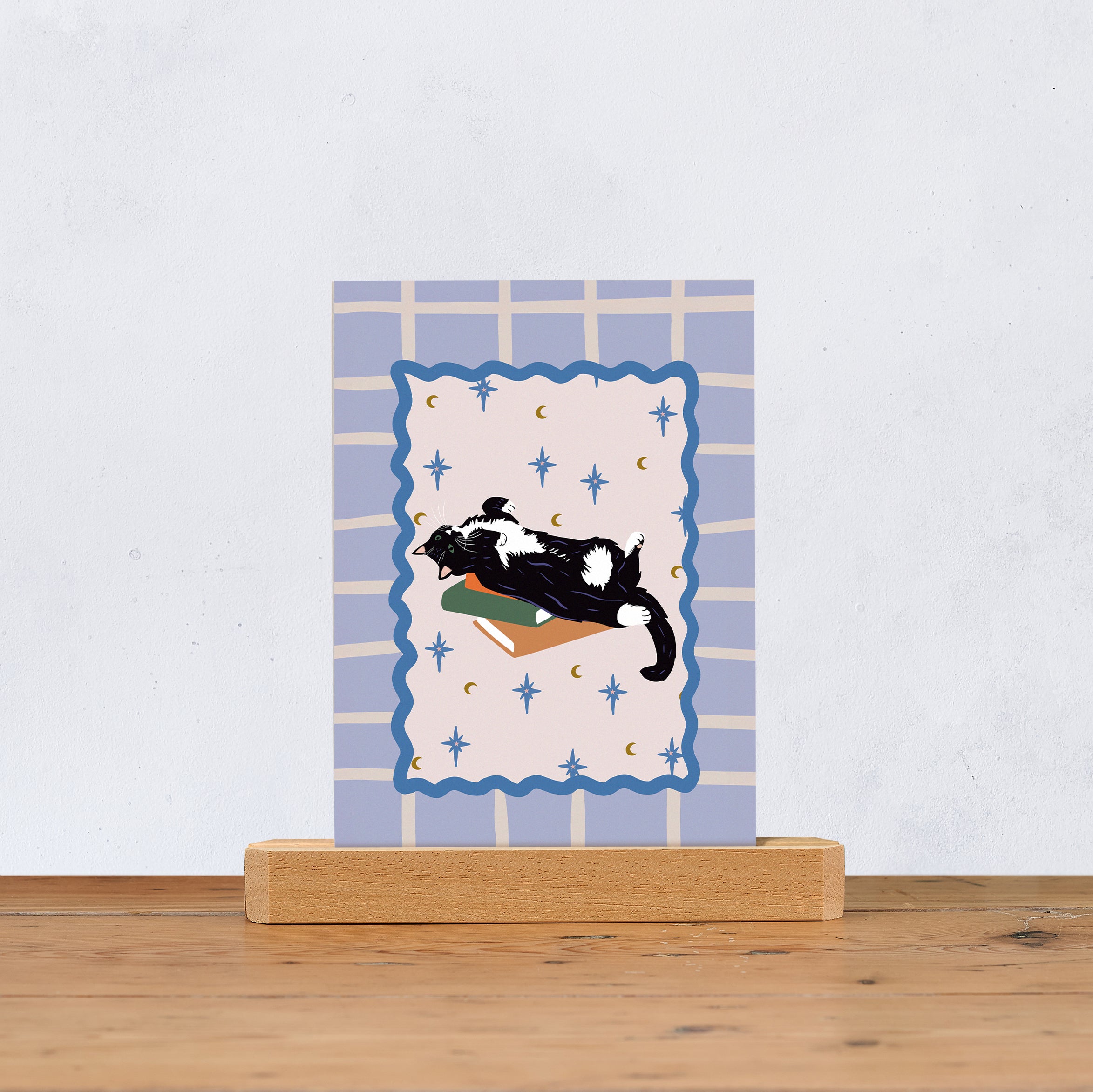 Cats and Books Postcard Set | Pack of Six