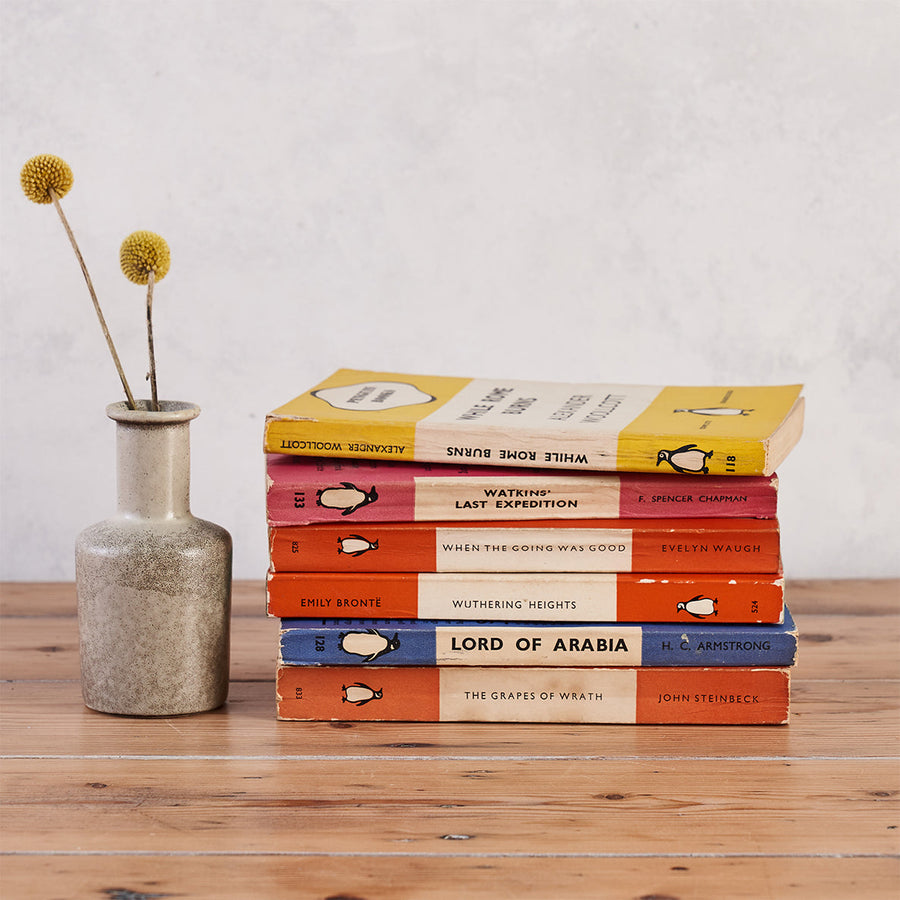 vintage penguin books mini book bundle beautiful vintage books