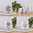 Selection of bookish mugs to add onto your book and luxury tea subscription. Gifts for book lovers, bookworms, readers and bibliophiles. Bookishly. Jane Austen themed mugs.
