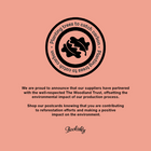 Dark Magic Style Postcard Set - 5 Pack