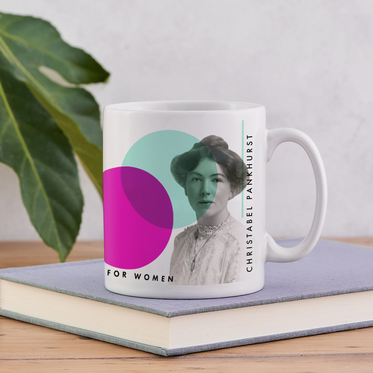 Suffragette ‘Join Hands’ Votes For Women Mug