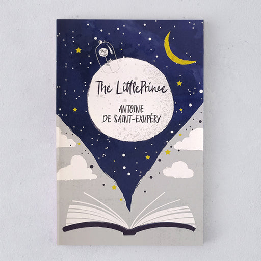 The Little Prince by Antoine de Saint-Exupéry - The Bookishly Edition
